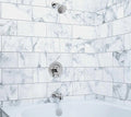 Moen Vichy Shower Faucet
